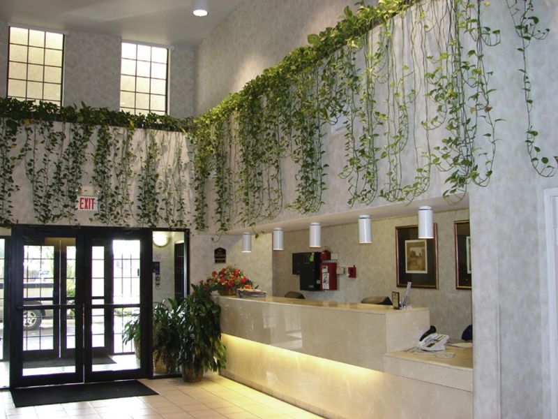 Quality Inn & Suites Airport Austin Kültér fotó